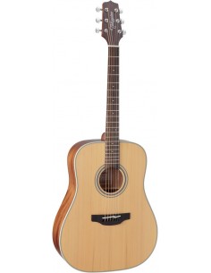 Takamine GD20NS