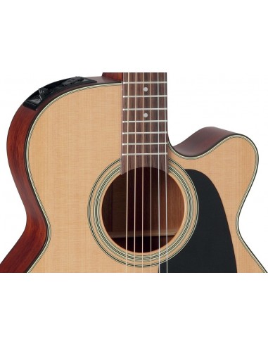 Takamine P1NC