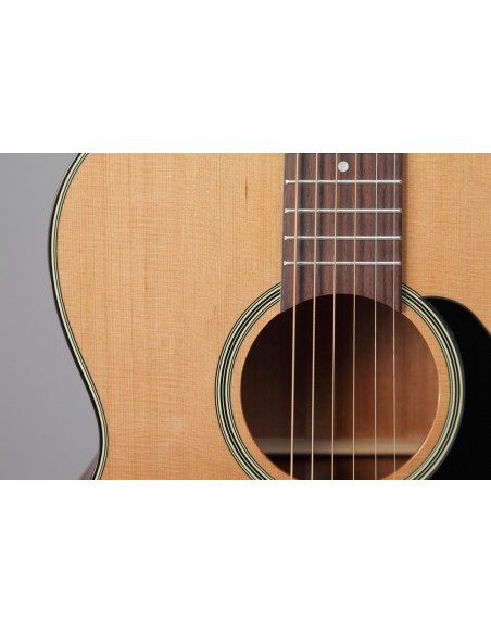 Takamine P1NC