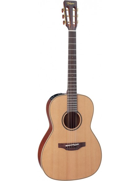 Takamine P3NY