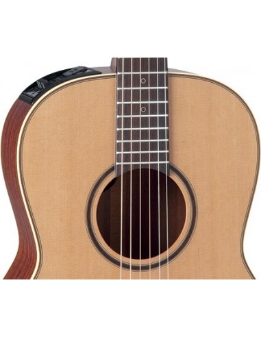 Takamine P3NY