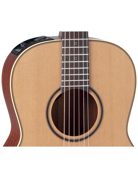 Takamine P3NY