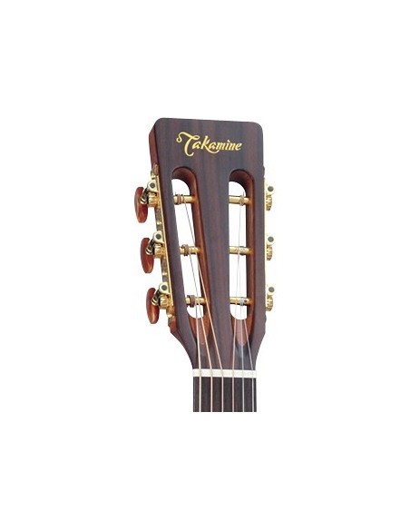 Takamine P3NY