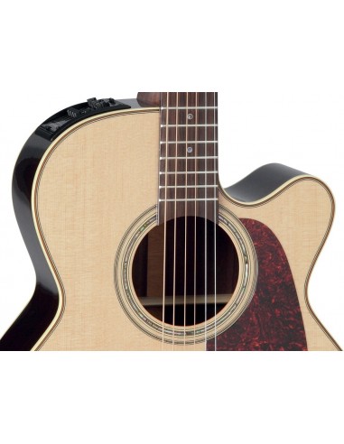 Takamine P5NC