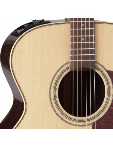 Takamine P5J