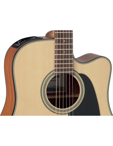 Takamine GD10CENS