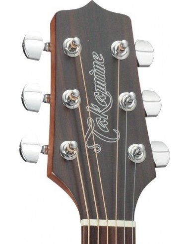 Takamine GD10CENS