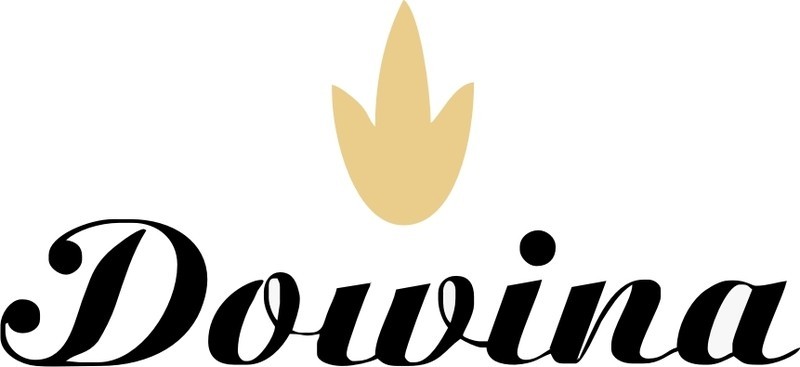 DOWINA